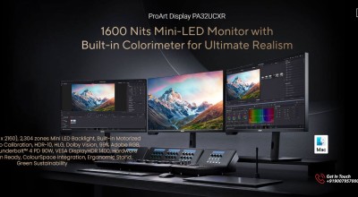 ASUS ProArt PA32UCXR Review: 32" 4K Mini-LED Reference