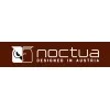 Noctua
