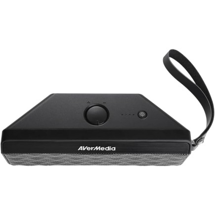 Avermedia AW330 Wirless Microphone