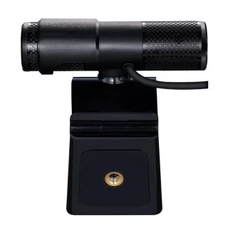 Avermedia PW313 Black Webcam