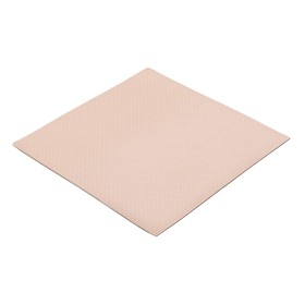 Thermal Grizzly Minus Pad 8 100 x 100 x 1.0 mm