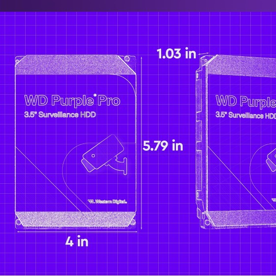 WD Purple Pro 24TB WD241PURP Surveillance Hard Drive