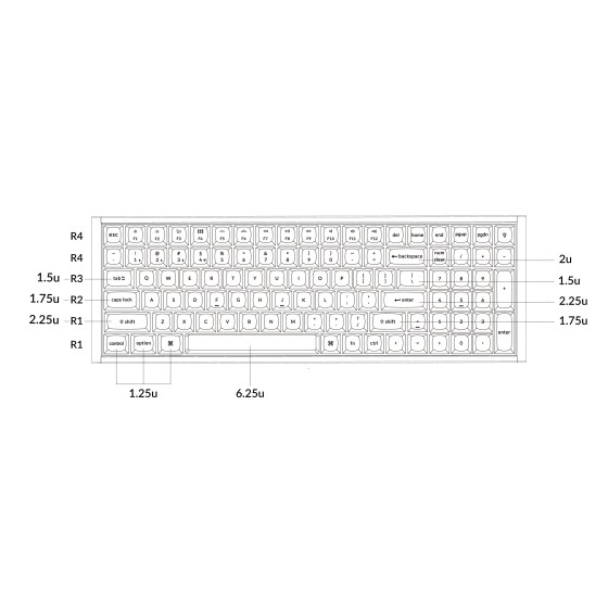 Keychron K4 HE Wireless Magnetic RGB Keyboard Black at NationalPC India