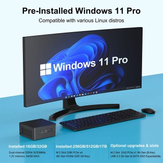 PRO Desktop Computer, intel Core i5 12400F 4.4GHz, RTX4060,16GB(8G*2) DDR4,  NVME 256GB SSD, Win 11 Pro Ready, Gamer Desktop Computer(i5 12400f
