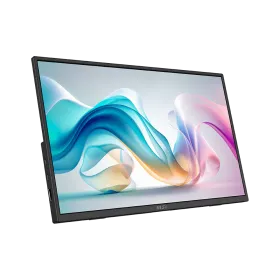 MSI PRO MP165 E6 15.6-inch FHD IPS Portable Monitor