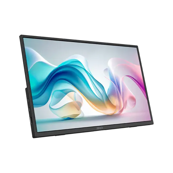 MSI PRO MP165 E6 portable monitor with USB-C and Mini-HDMI MSI PRO MP165 E6 15.6-inch FHD IPS Portable Monitor