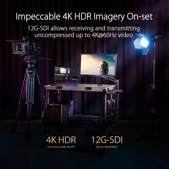 ASUS ProArt Display PA24US Professional Monitor – 24-inch, IPS, 4K UHD