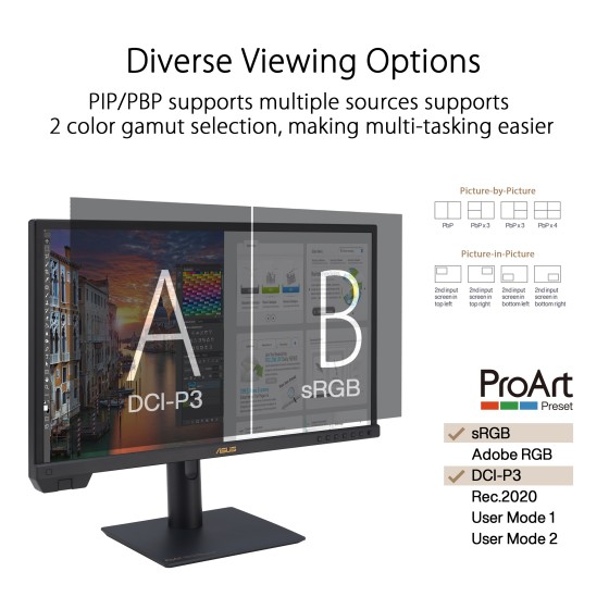 ASUS ProArt Display PA24US Professional Monitor – 24-inch, IPS, 4K UHD