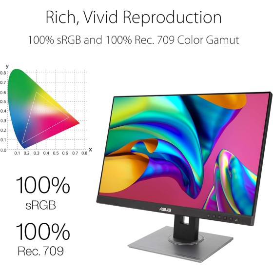 ASUS ProArt Display PA248QV Professional Monitor – 24.1-inch