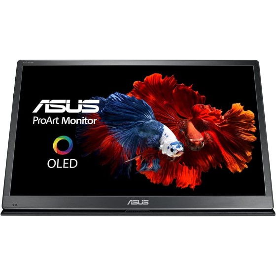 ProArt PQ22UC 4K HDR OLED Professional Portable Monitor – 21.6-inch