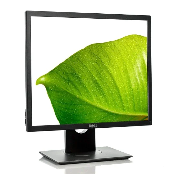 Dell Led 19 Inch Dell Professional P1917S 19 inch Square LED Monitor