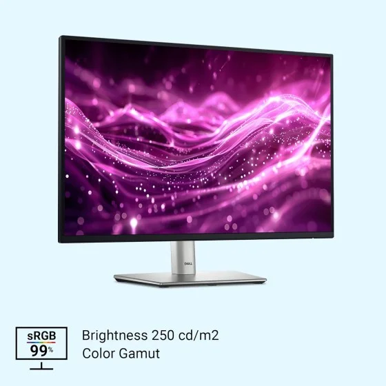 Dell P Series 24 P2425 Monitor Dell P Series 24 P2425 Monitor