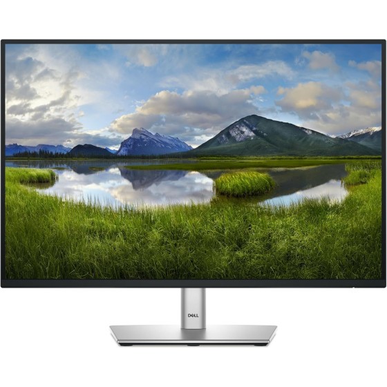 Dell P Series 24 P2425E USB-C Hub Monitor