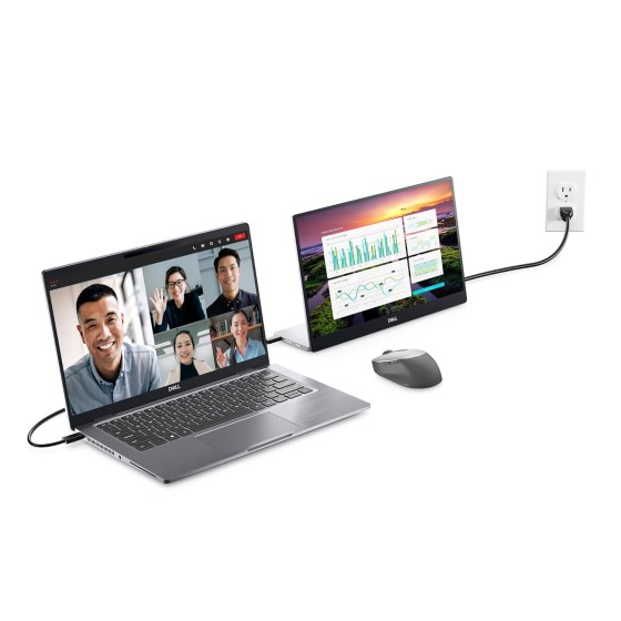 Dell P Series P1424H Portable Monitor