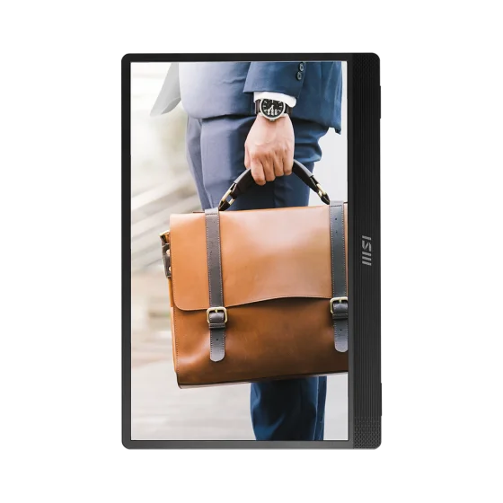 Msi PRO MP161 Portable Ultra-Slim Business Monitor Msi PRO MP161 Portable Ultra-Slim Business Monitor