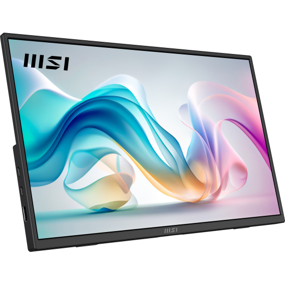 MSI PRO MP165 E6 15.6-inch FHD Portable Monitor
