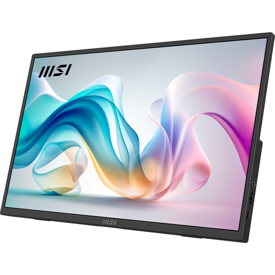 MSI PRO MP165 E6 15.6-inch FHD Portable Monitor