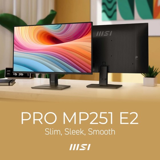 MSI PRO MP251 E2 24.5-inch FHD IPS Monitor