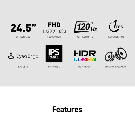 MSI PRO MP251 E2 24.5-inch FHD IPS Monitor