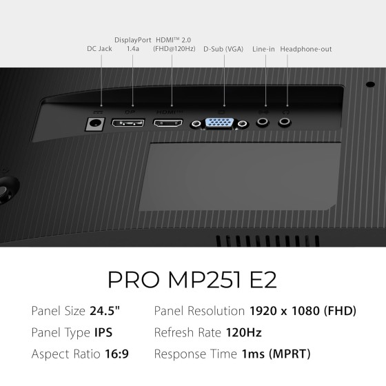 MSI PRO MP251 E2 24.5-inch FHD IPS Monitor