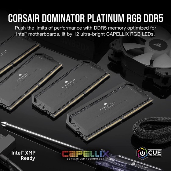 Corsair Dominator Platinum RGB DDR5 64GB (32GBx2) 5600MHz Desktop RAM (Black)