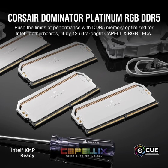 Corsair Dominator Platinum RGB DDR5 64GB (32GBx2) 5600MHz Desktop RAM (White)