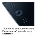 Wacom Intuos Pro PTH-660/K0-CA Creative Graphics Input Tablet