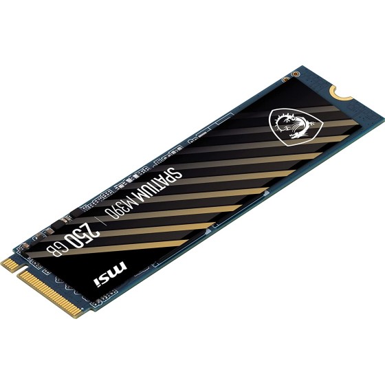 MSI Spatium M390 250GBM.2 NVMe Internal SSD