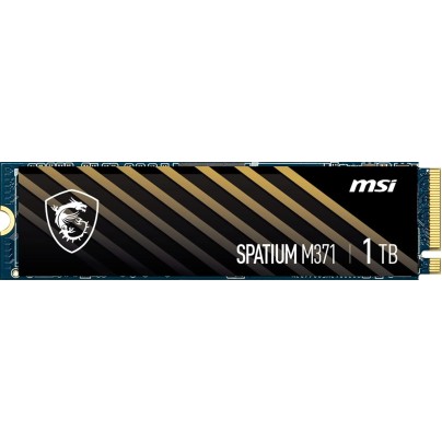 Msi Spatium M371 1TB M.2 NVMe PCIe Gen3 SSD