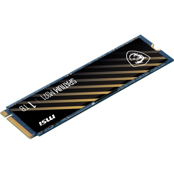 Msi Spatium M371 1TB M.2 NVMe PCIe Gen3 SSD
