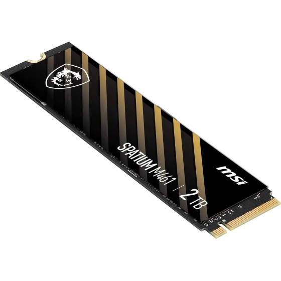 Msi Spatium M461 2TB M.2 NVMe PCIe Gen4 SSD