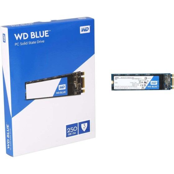 WD Blue 3D NAND M.2 2280 250GB SATA 6Gb/s Internal Solid State Drive WD Blue 3D NAND M.2 2280 250GB SATA 6Gb/s Internal Solid State Drive