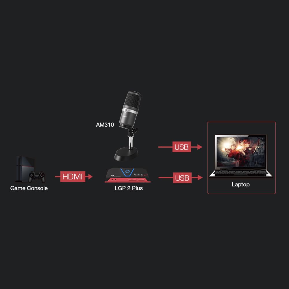 Avermedia AM310 Microphone - image 4