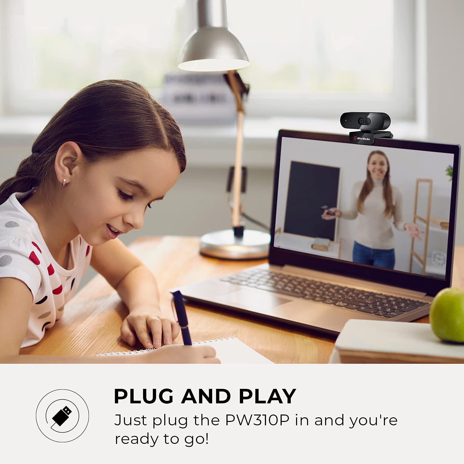 Avermedia PW310P Black Webcam - image 8