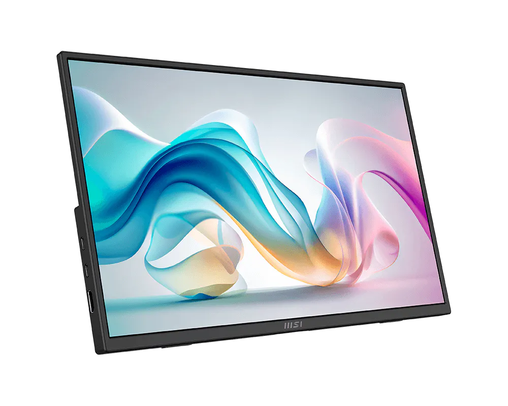MSI PRO MP165 E6 15.6-inch FHD IPS Portable Monitor - image 2