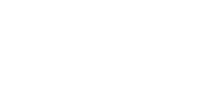 Thunderbolt logo