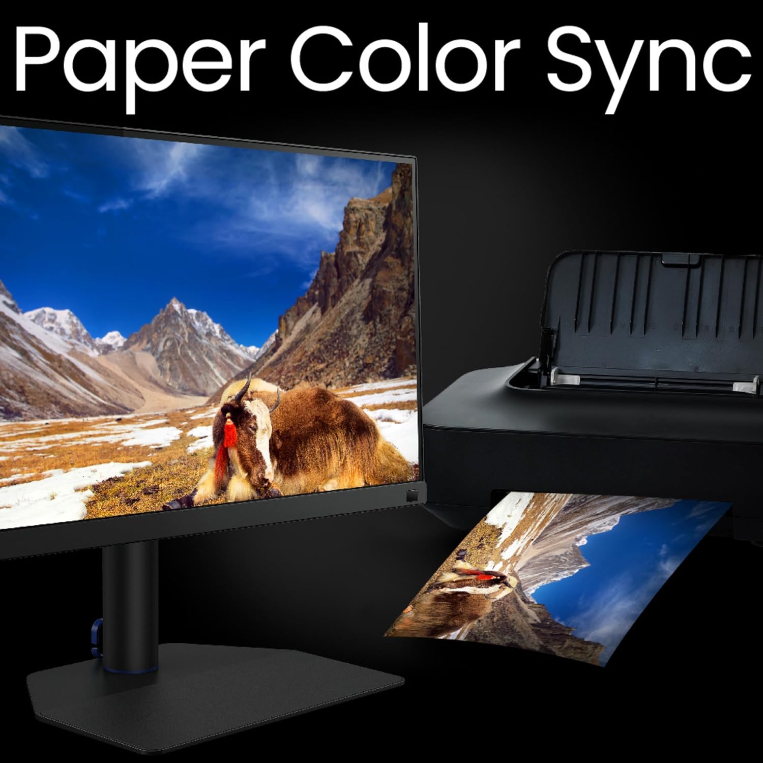 BenQ SW272Q 27 inch 4K IPS WUXGA Monitor - image 7